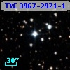 TYC 3967-2921-1