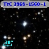 TYC 3968-1560-1