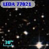 LEDA   77021