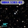 HBHA 5203-03