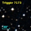 Trigger  7173