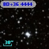BD+36  4444