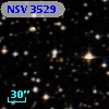 NSV  3529