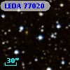 LEDA   77020