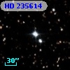 HD 235614