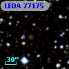 LEDA   77175