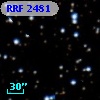 RRF 2481