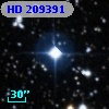 HD 209391