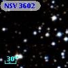 NSV  3602