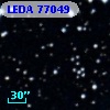 LEDA   77049