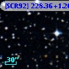 [SCR92] 228.36+1.26