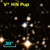 V* HN Pup
