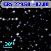 GRS 229.50 +02.00