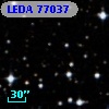 LEDA   77037