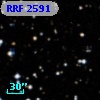 RRF 2591
