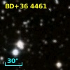 BD+36  4461
