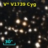 V* V1739 Cyg