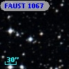 FAUST 1067
