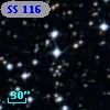SS 116