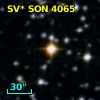 NSV  3593