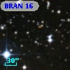 BRAN  16