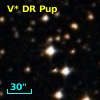 V* DR Pup