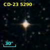 CD-23  5290