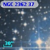 NGC  2362    37