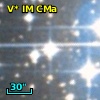 V* IM CMa