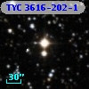 TYC 3616-202-1