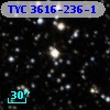 TYC 3616-236-1