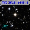 TYC 3616-1445-1