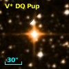 V* DQ Pup
