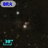 BRAN  23