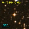 V* V344 CMa