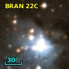 BRAN  22C