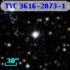 TYC 3616-2073-1