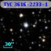 TYC 3616-2233-1
