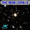 TYC 3616-2318-1