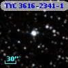 TYC 3616-2341-1