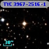 TYC 3967-2516-1