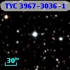 TYC 3967-3036-1