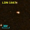LDN 1667