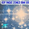 Cl* NGC 2362     DH     157