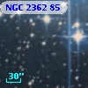 NGC  2362    85