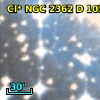 Cl* NGC 2362     DH     190