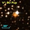 V* BO Pup