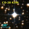 CD-28  4296