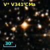 V* V341 CMa