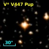 V* V447 Pup